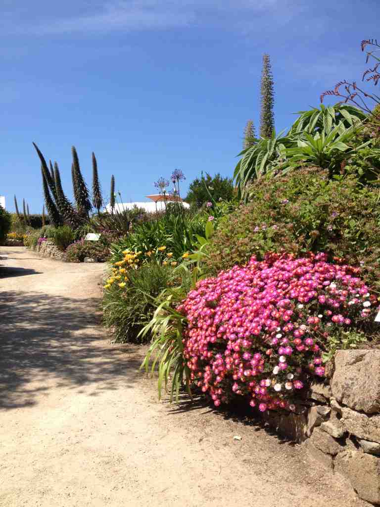 Le Jardin exotique de Roscoff - Beaux jardins et Potagers