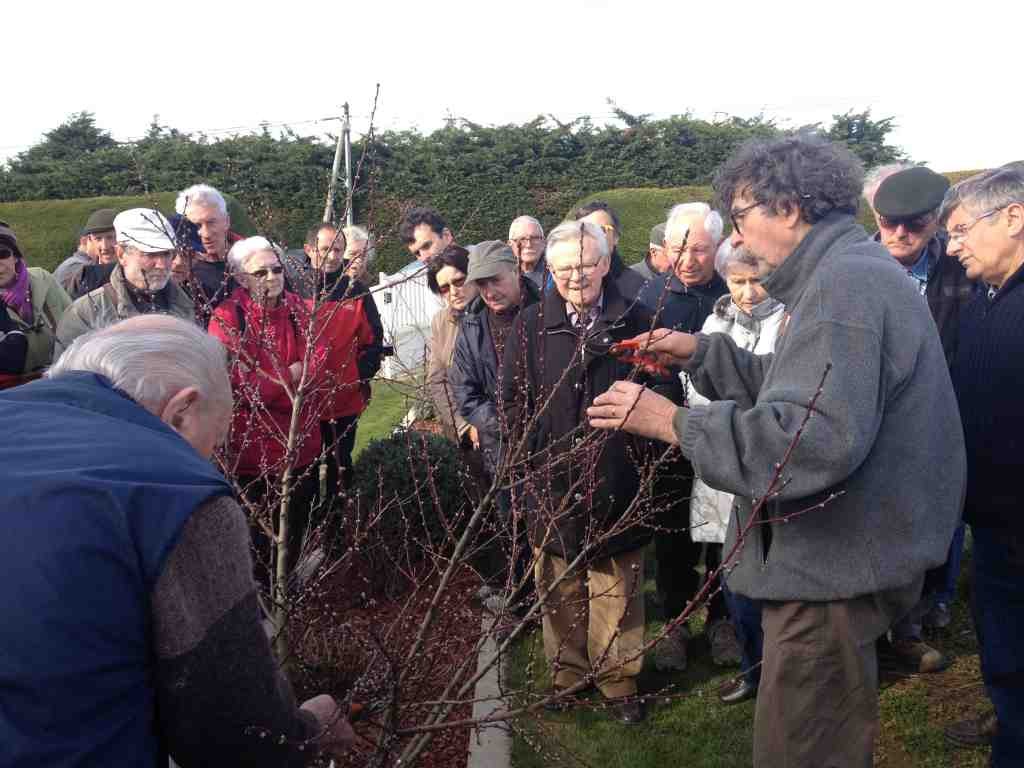 Les prochaines activités de la Société d'Horticulture et d'Art Floral de Saint Brieuc