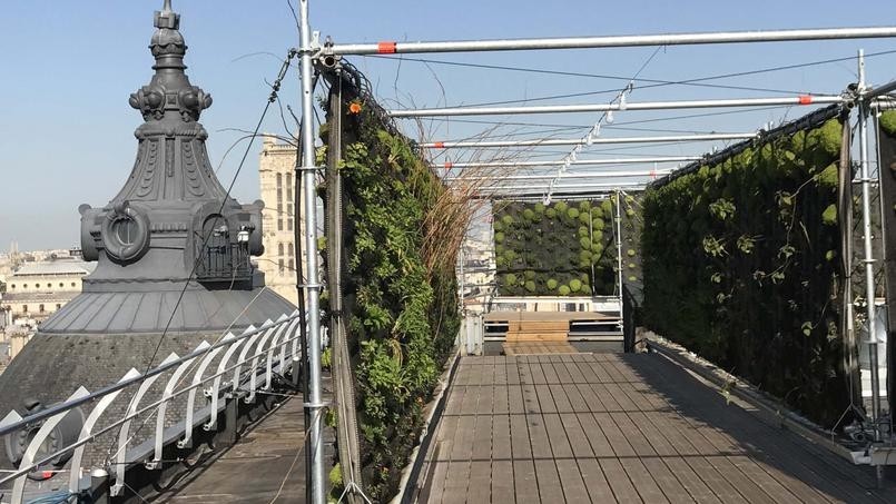  La plus grande surface végétalisée verticale implantée sur un toit en France au coeur du marais