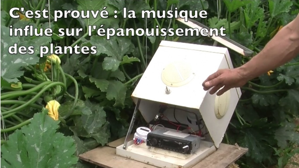 Le chant des protéines végétales au secours des courgettes de Gilles Josuan.