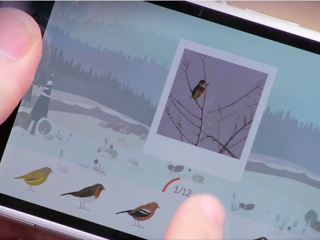 Jouez à observer les oiseaux avec l'application BirdLab du Muséum national d'histoire naturelle