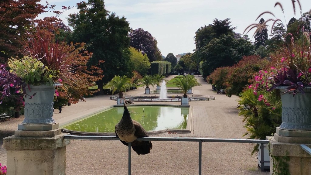 Rouen retrace l'histoire de son Jardin des plantes et fait appel à vos albums photos