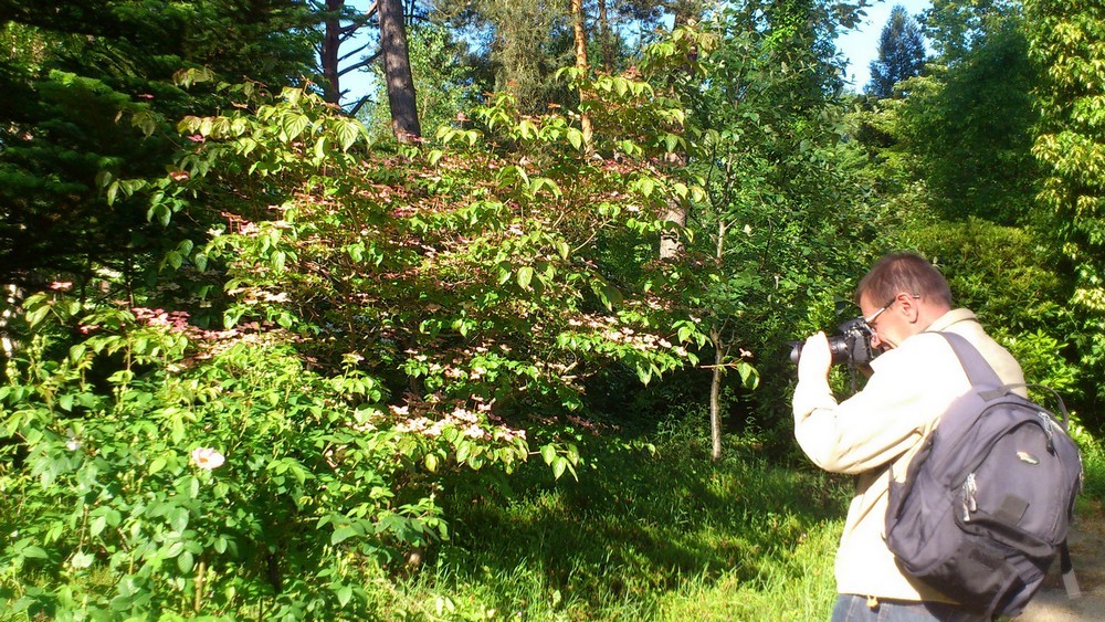 Photographier le printemps à l'Arboretum des Grandes Bruyères