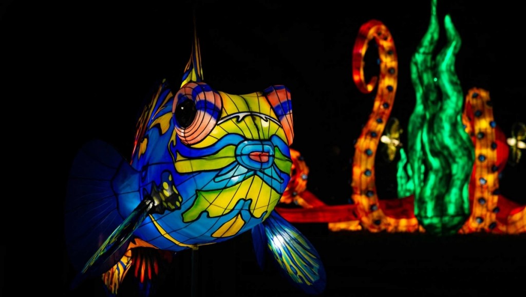 Sculptures lumineuses géantes au Jardin des Plantes de Paris