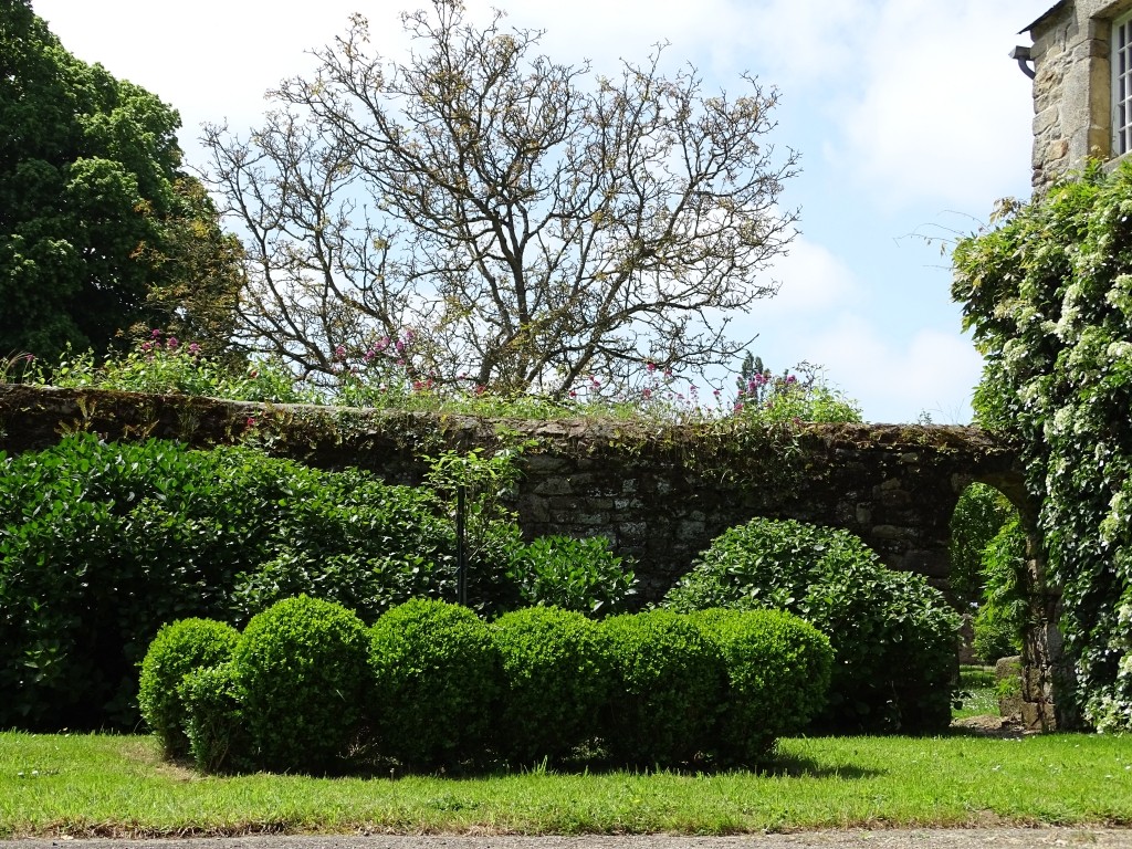 « Rendez-vous aux jardins » 2020 : La Transmission des savoirs