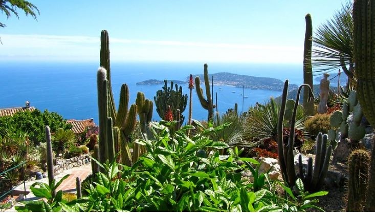 Sélection des plus beaux jardins exotiques à visiter dans le Sud