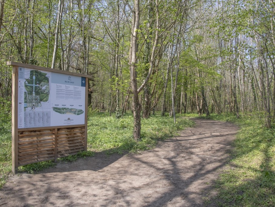  Le ru de Gally : une nouvelle promenade au cœur du parc de Versailles