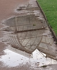 Reflets de Grande serre au Jardin botanique de Lyon