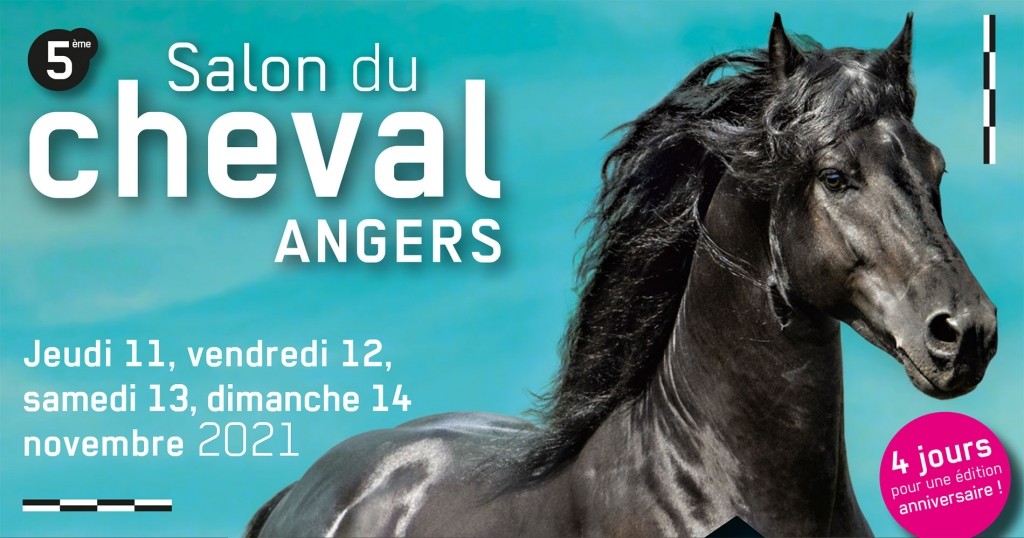 Salon du cheval à Angers au galop pour une 5eme édition !