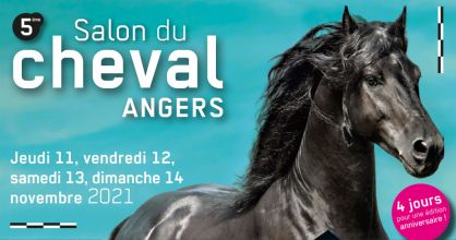 Salon du cheval à Angers au galop pour une 5eme édition !