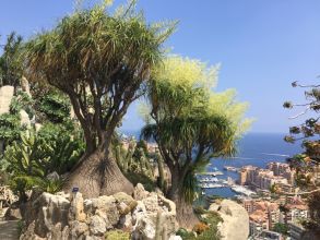 Le Jardin exotique de Monaco désigné comme l'un des plus beaux au monde