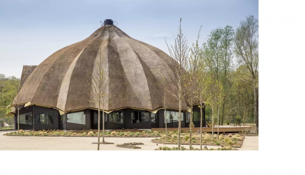 Jardin d'hôtel : Le bois des chambres