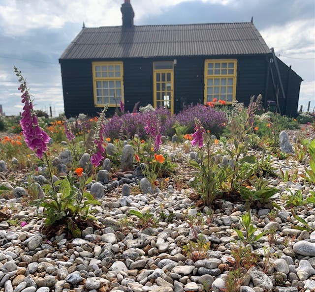 Conférences de l'Institut Européen des Jardins 