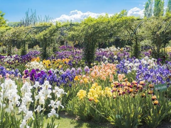 Les musiques du jardin