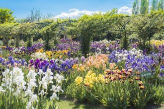 Les musiques du jardin