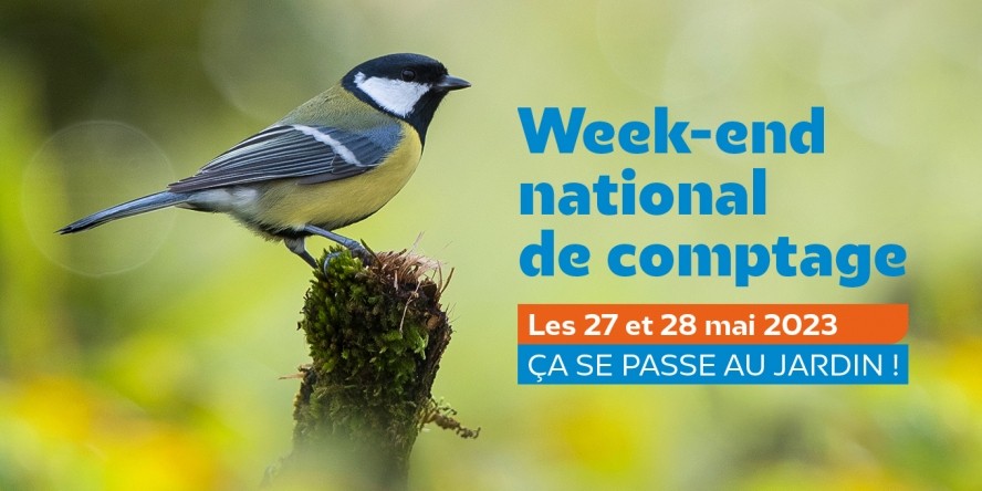 Édition printemps 2023  du comptage national des oiseaux des jardins ce week-end