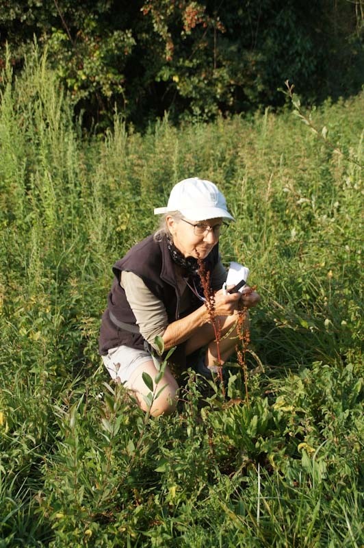 Portrait de bénévole au conservatoire de Brest