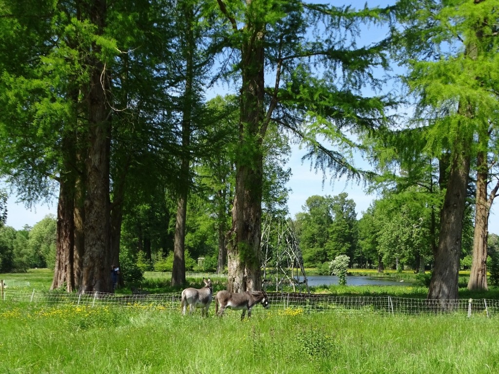La folie des jardins anglais dans la Terre au carré sur France Inter à écouter en podcast