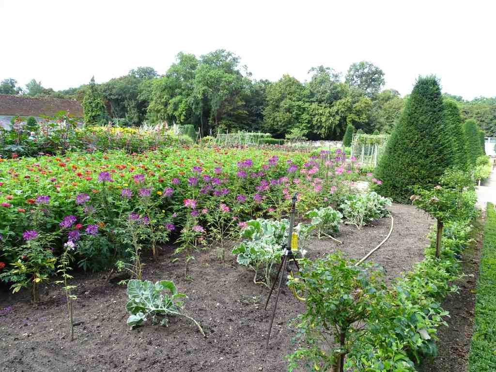 Les Jardins Partagés à Saint Brieuc