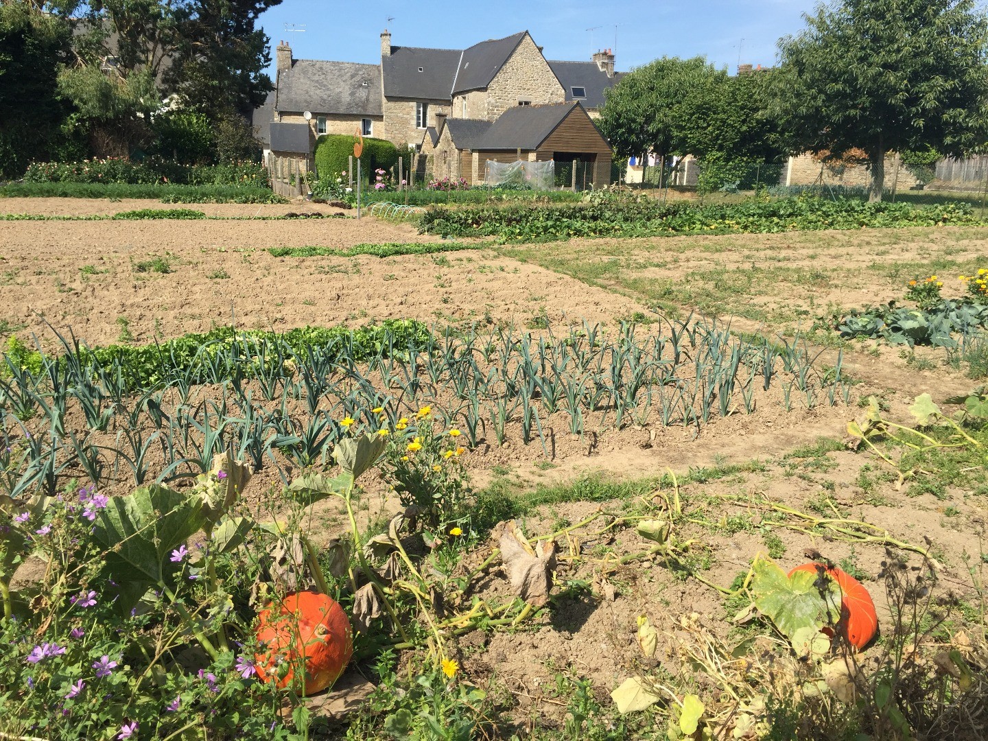 Le Jardin partagé de la rue des Quatorze portes