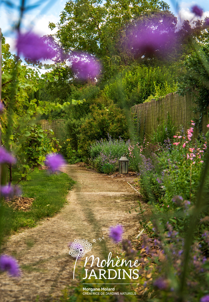 Un jardin en ville plein de vie