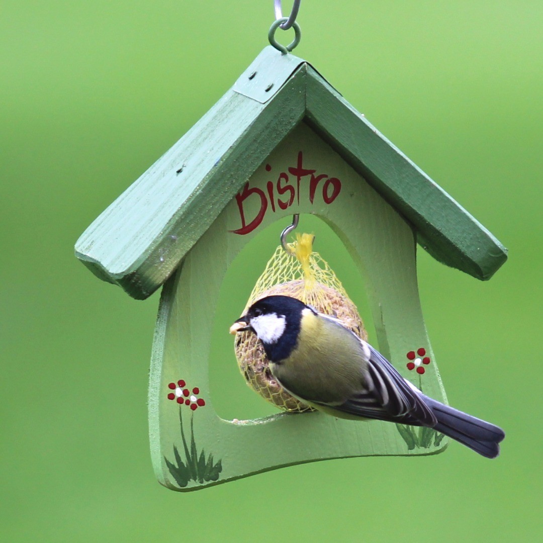 Mangeoire Floralie pour Oiseaux 