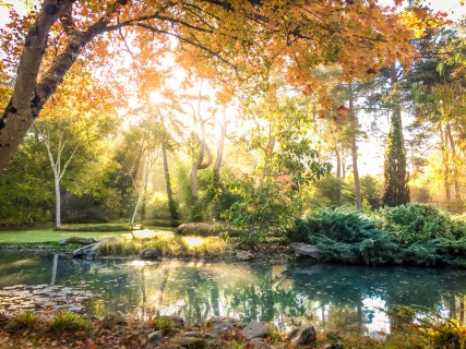 L'Automne à l'Arboretum des Grandes Bruyères