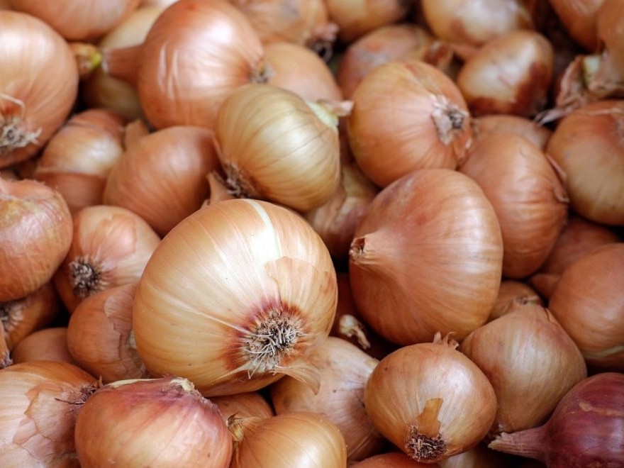 Janvier au potager