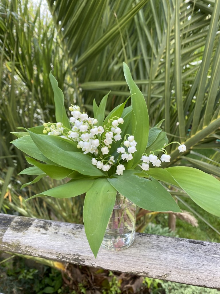 La Fleur du Mois de Mai