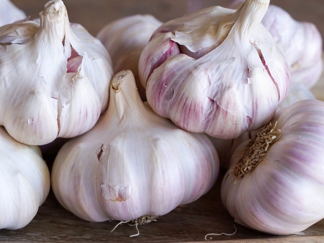 Février au potager et au verger