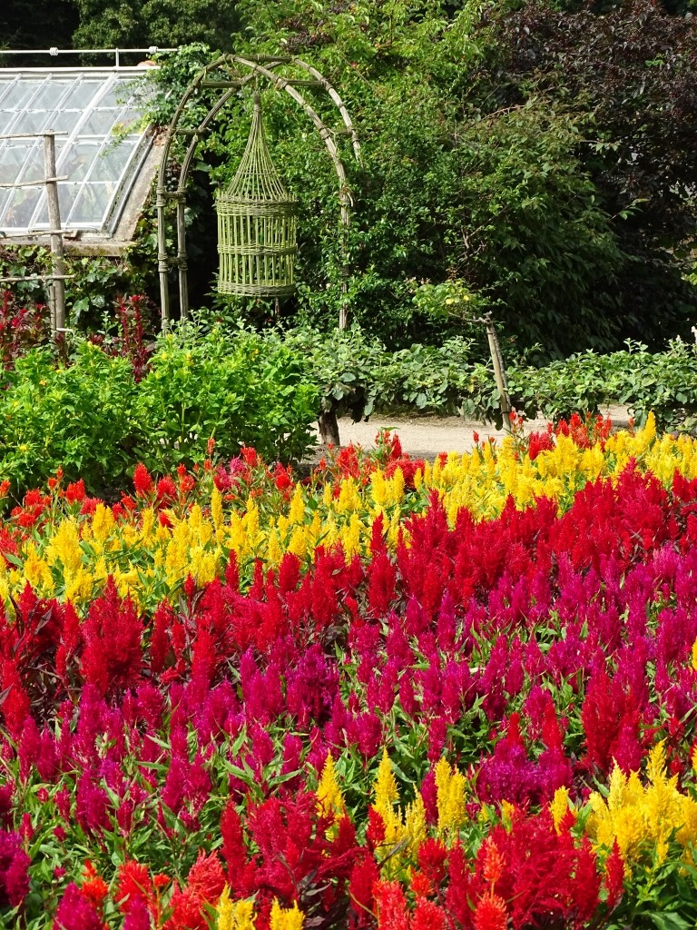 Septembre au jardin d'ornement 