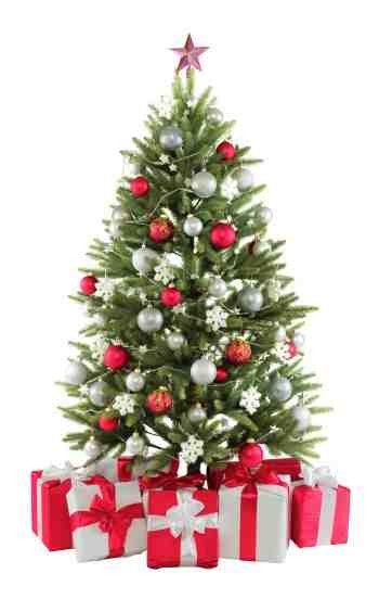 Une astuce pour garder votre sapin de Noël coupé plus longtemps