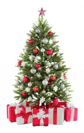 Une astuce pour garder votre sapin de Noël coupé plus longtemps