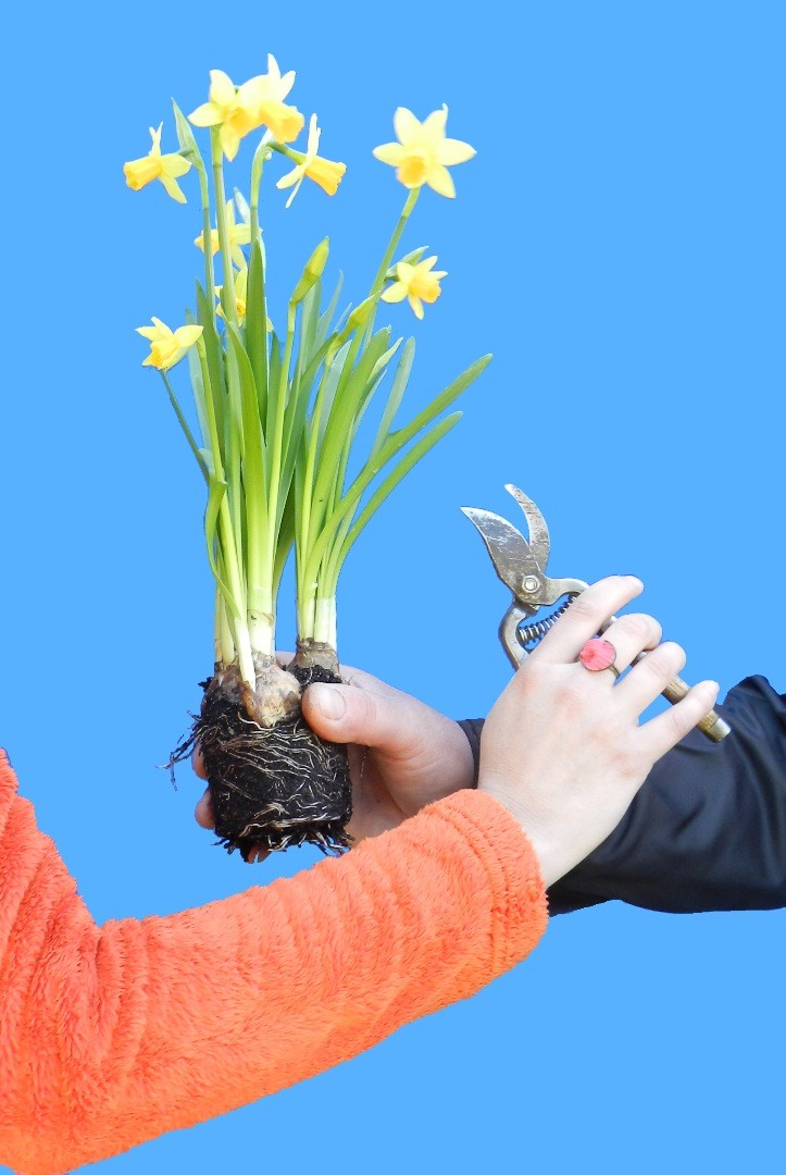 Troc'Jardin