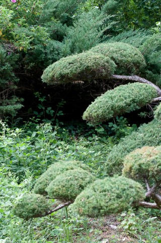 Rendez-vous aux jardins