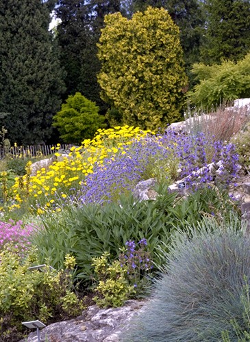 Visite guidée : LE JARDIN ALPIN