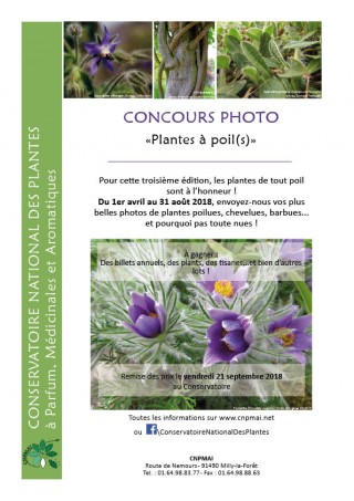 Concours photo "Plantes à poil(s)" au Conservatoire des Plantes de Milly-la-Forêt (91)