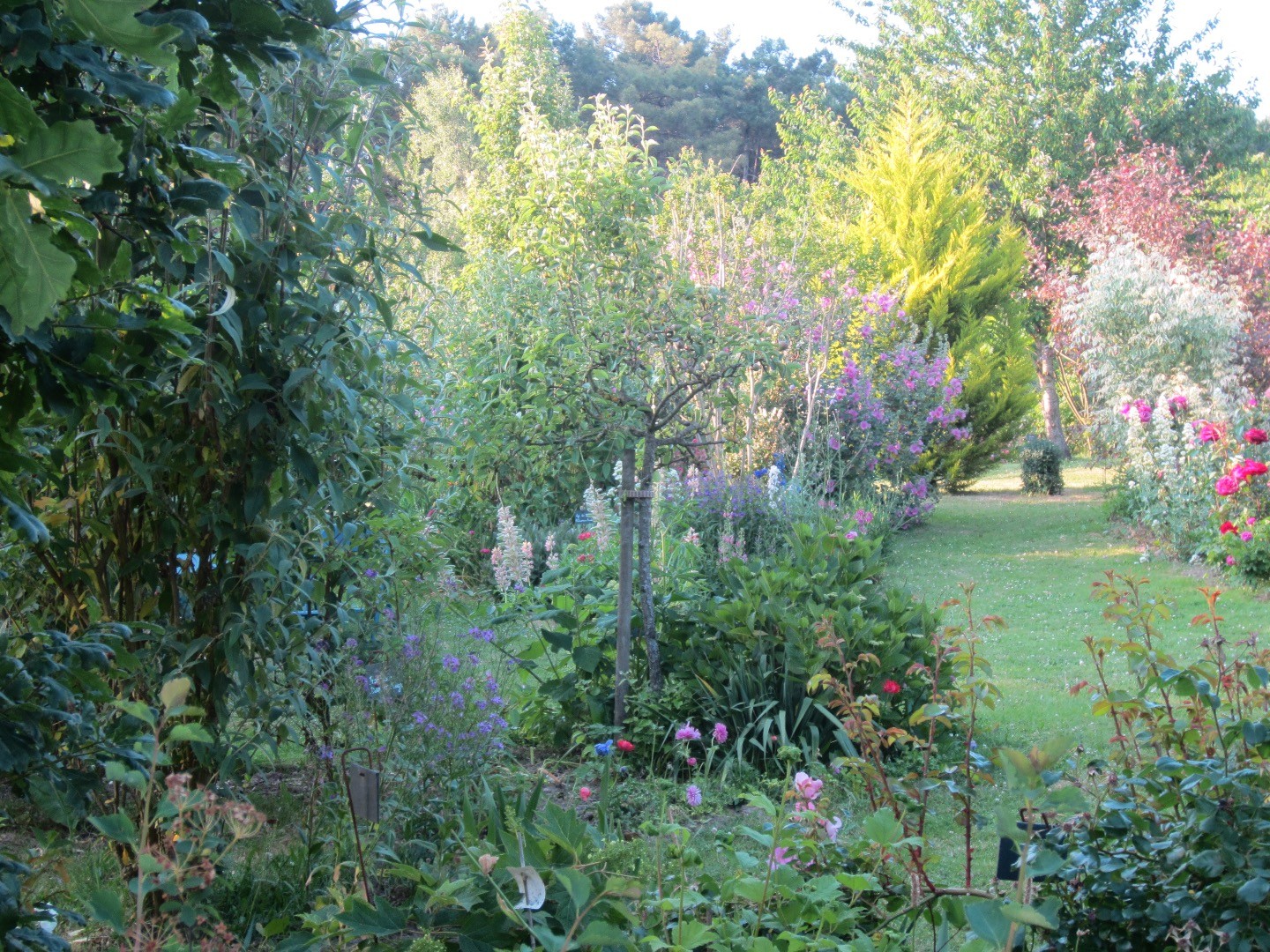 Jardin privé ouvert les week-end et jours féries à Lavernat, à mi chemin entre Tours et Le Mans