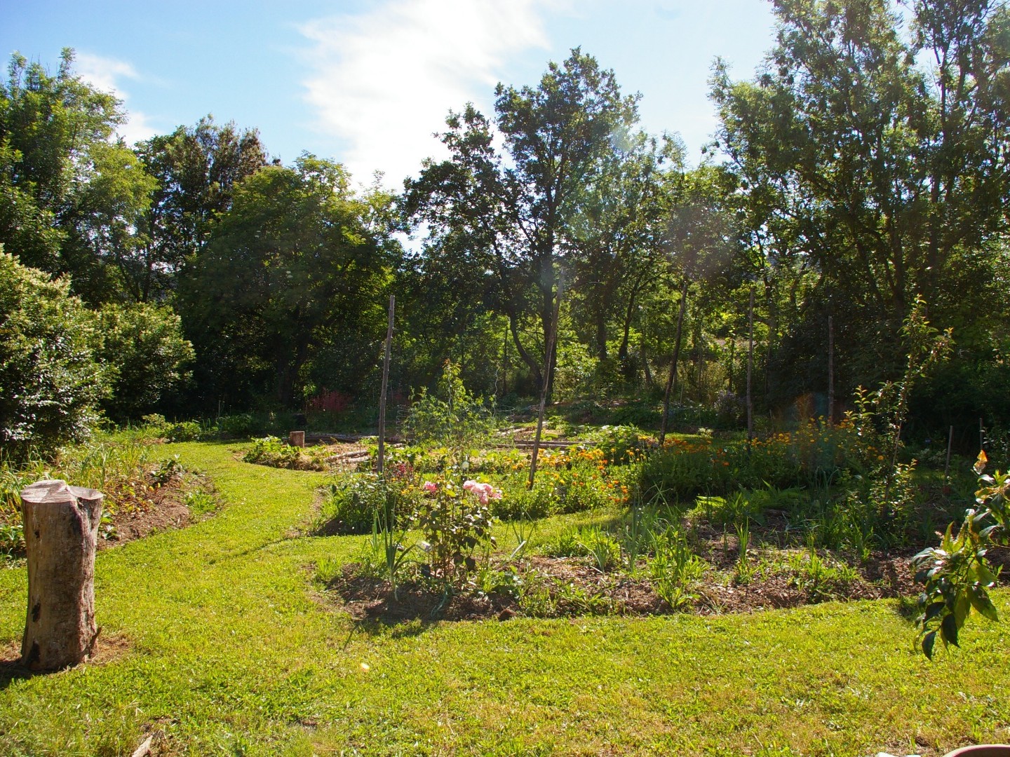 Visite commentée des jardins écologiques du Mas des faïsses