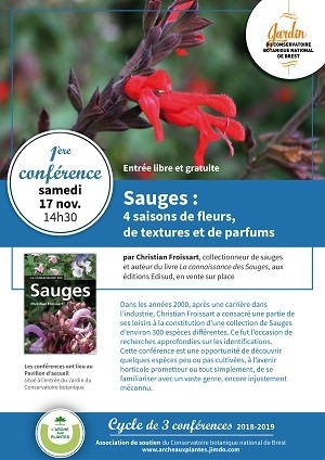 La sauge, 4 saisons de fleurs, de textures et de parfums