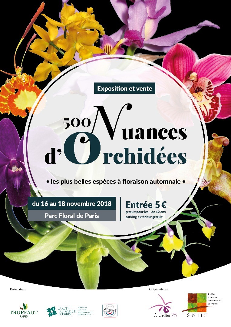 500 Nuances d'Orchidées