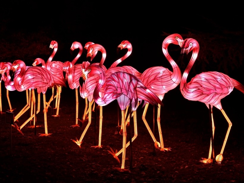 1er festival des lumières au jardin des plantes de paris : Espèces en voie d'illumination