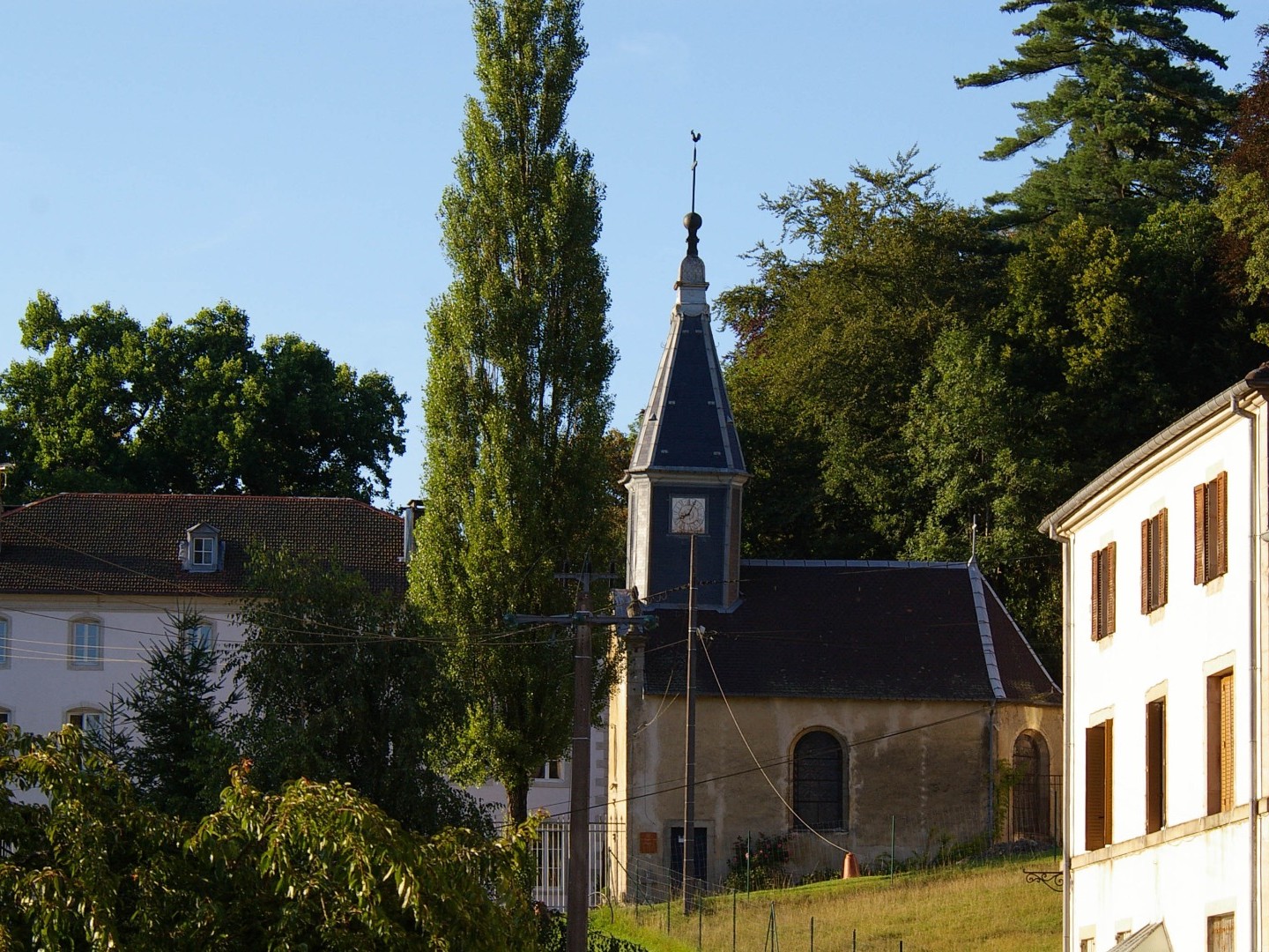 Grands Hommes- Grands Arbres  à la Manufacture