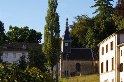 Grands Hommes- Grands Arbres  à la Manufacture