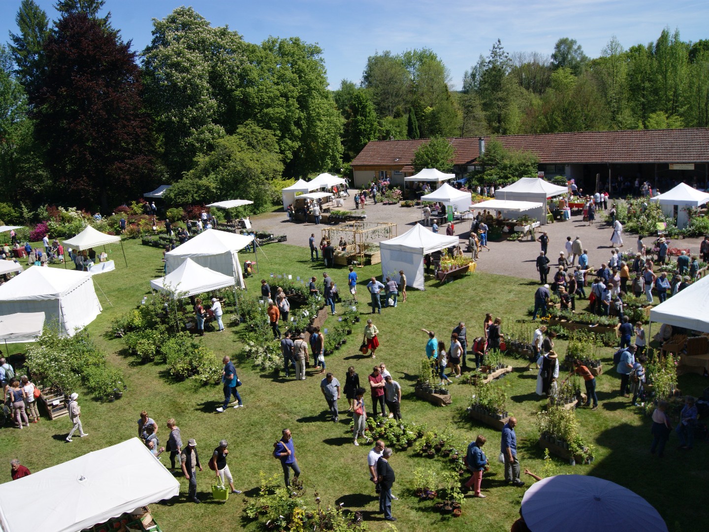 Fête des plantes à l'abbaye d'Autrey !