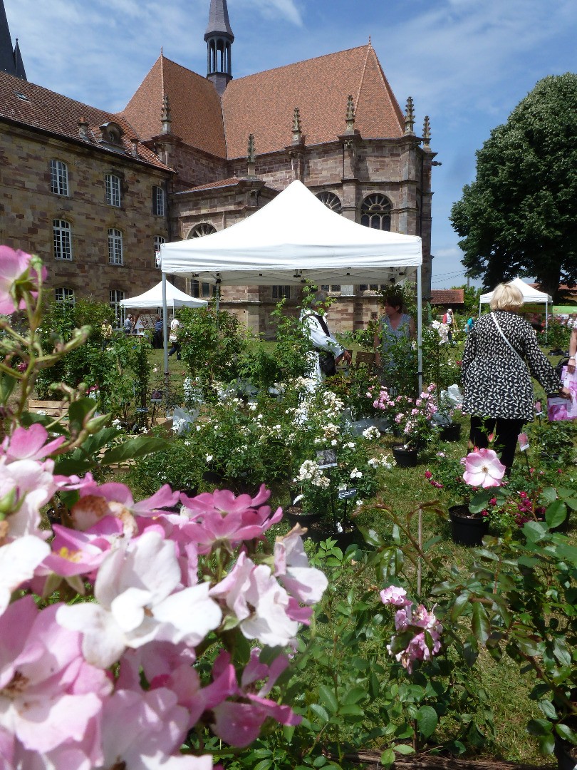 Fête des roses à l'abbaye d'Autrey !