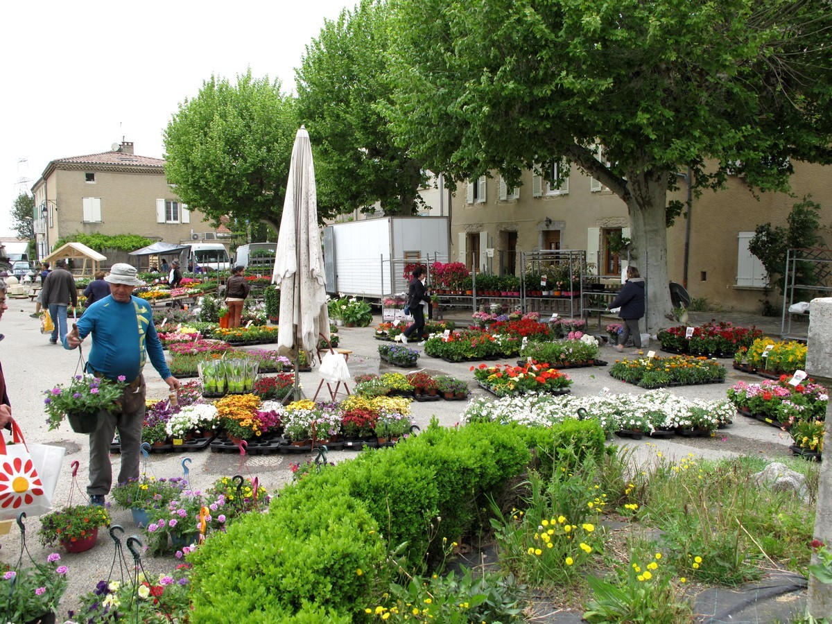 foire aux fleurs de printemps