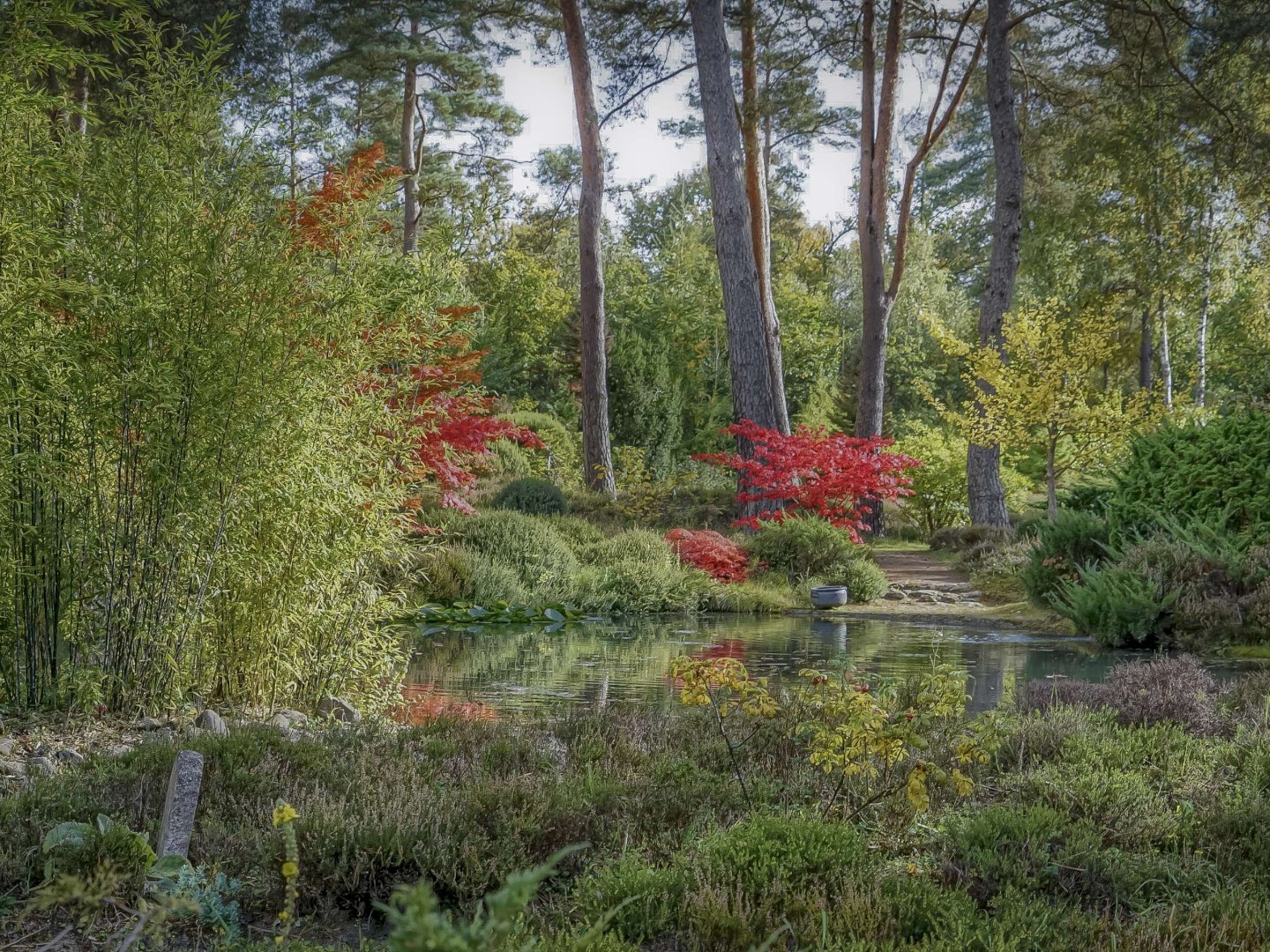 500 ans de Renaissance(s) et de botanique