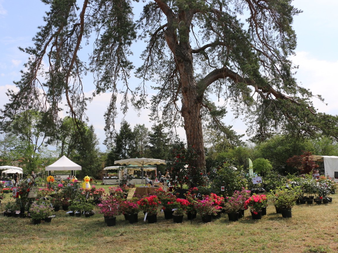 Fête des Plantes "Automne, maison et jardin"