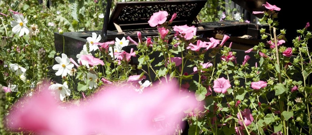 Jardin de musique à Chaumont